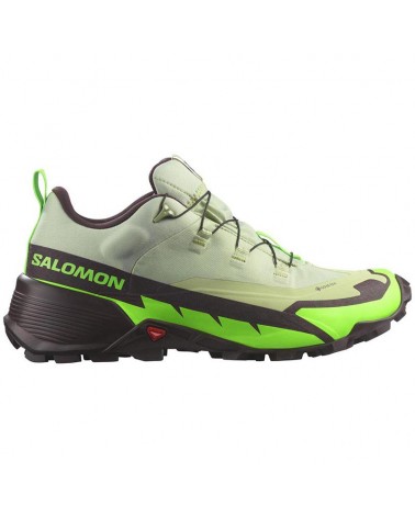 Salomon Cross Hike 2 GTX Gore-Tex Men's Trekking Shoes, Desert Sage/Green Gecko/Chocolate Plum