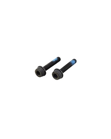 Campagnolo Pair of Bolts for Rear Flat Moun Disc Brake Caliper 19mm (for Frame with 10-14mm Chainstay Thickness)